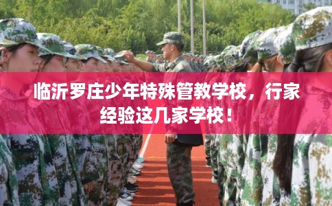 临沂罗庄少年特殊管教学校，行家经验这几家学校！