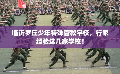 临沂罗庄少年特殊管教学校，行家经验这几家学校！