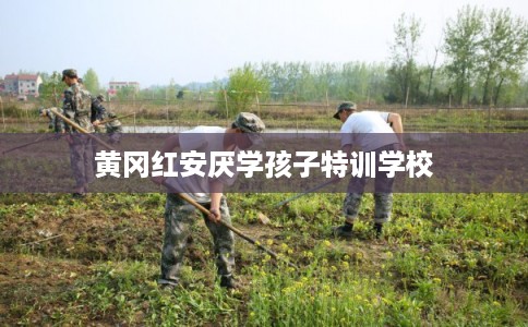 黄冈红安厌学孩子特训学校 黄冈红安厌学孩子特训学校