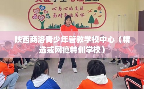 陕西商洛青少年管教学校中心(精选戒网瘾特训学校) 陕西商洛青少年管教学校中心(精选戒网瘾特训学校)