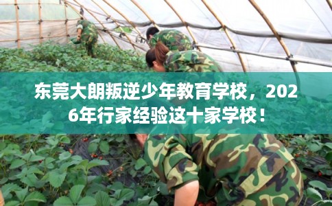 东莞大朗叛逆少年教育学校，2026年行家经验这十家学校！