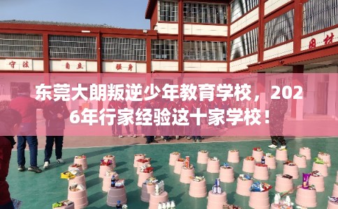 东莞大朗叛逆少年教育学校，2026年行家经验这十家学校！