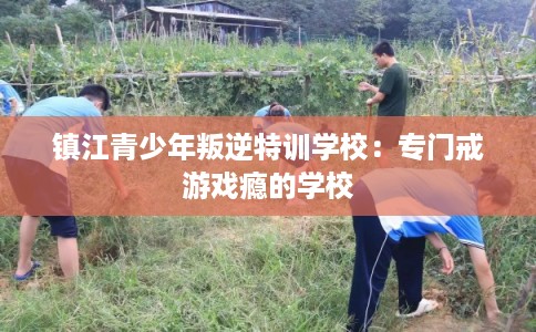 镇江青少年叛逆特训学校：专门戒游戏瘾的学校