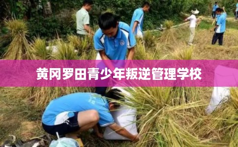 黄冈罗田青少年叛逆管理学校
