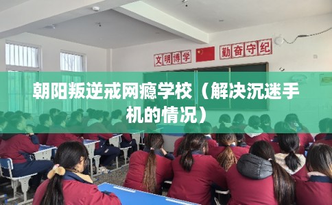 朝阳叛逆戒网瘾学校（解决沉迷手机的情况）
