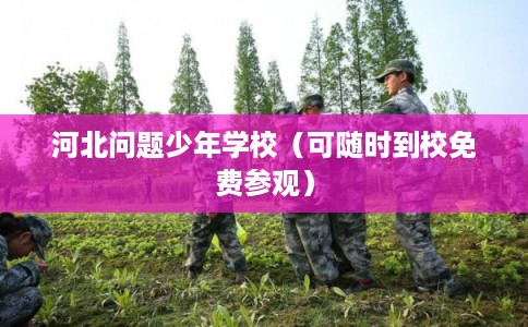河北问题少年学校(可随时到校免费参观) 河北问题少年学校(可随时到校免费参观)