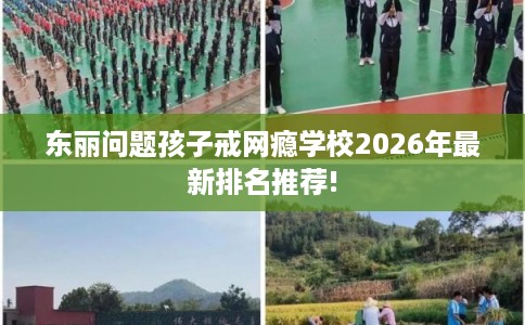 东丽问题孩子戒网瘾学校2026年最新排名推荐!