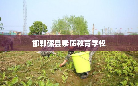 邯郸磁县素质教育学校