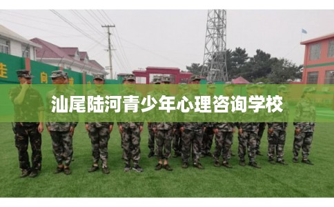 汕尾陆河青少年心理咨询学校 汕尾陆河青少年心理咨询学校