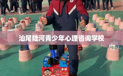 汕尾陆河青少年心理咨询学校