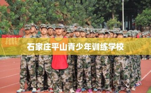 石家庄平山青少年训练学校