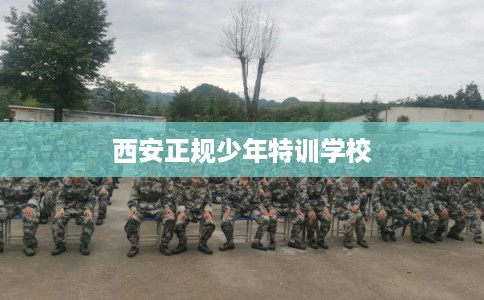 西安正规少年特训学校 西安正规少年特训学校