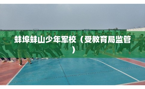 蚌埠蚌山少年军校（受教育局监管）