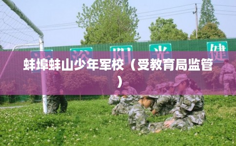 蚌埠蚌山少年军校（受教育局监管）