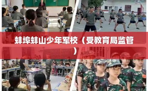 蚌埠蚌山少年军校（受教育局监管）
