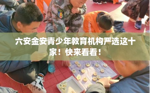 六安金安青少年教育机构严选这十家！快来看看！