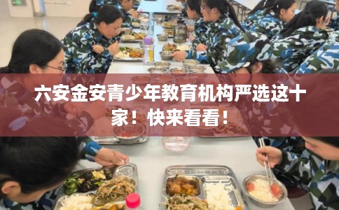 六安金安青少年教育机构严选这十家！快来看看！