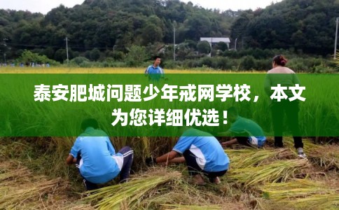 泰安肥城问题少年戒网学校，本文为您详细优选！