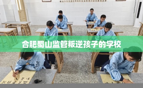合肥蜀山监管叛逆孩子的学校 合肥蜀山监管叛逆孩子的学校