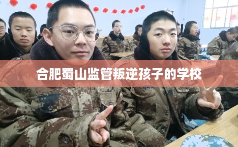 合肥蜀山监管叛逆孩子的学校 合肥蜀山监管叛逆孩子的学校