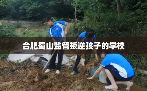 合肥蜀山监管叛逆孩子的学校 合肥蜀山监管叛逆孩子的学校