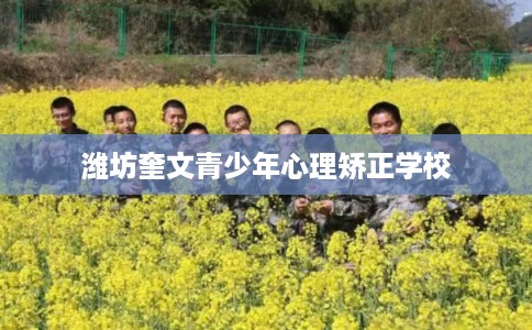 潍坊奎文青少年心理矫正学校