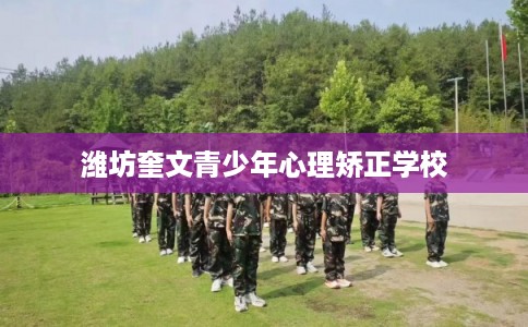 潍坊奎文青少年心理矫正学校