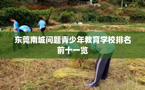 东莞南城问题青少年教育学校排名前十一览