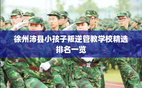 徐州沛县小孩子叛逆管教学校精选排名一览