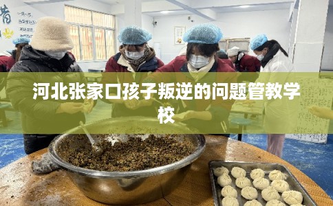河北张家口孩子叛逆的问题管教学校
