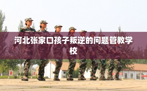 河北张家口孩子叛逆的问题管教学校