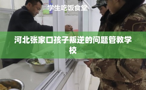 河北张家口孩子叛逆的问题管教学校