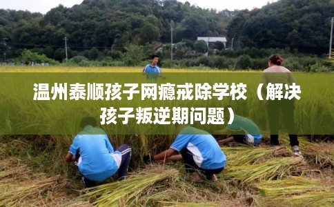 温州泰顺孩子网瘾戒除学校（解决孩子叛逆期问题）