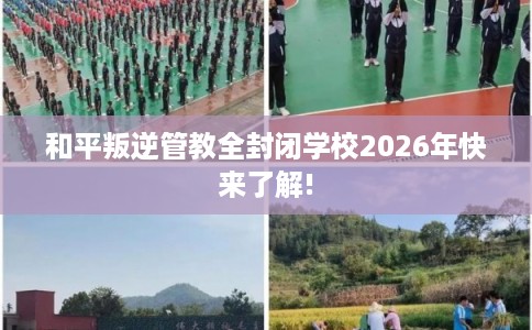 和平叛逆管教全封闭学校2026年快来了解! 和平叛逆管教全封闭学校2026年快来了解!
