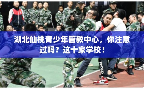 湖北仙桃青少年管教中心，你注意过吗？这十家学校！