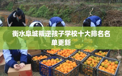 衡水阜城叛逆孩子学校十大排名名单更新