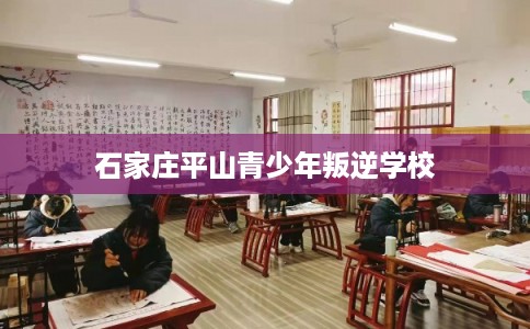 石家庄平山青少年叛逆学校