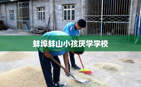 蚌埠蚌山小孩厌学学校