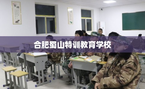 合肥蜀山特训教育学校 合肥蜀山特训教育学校