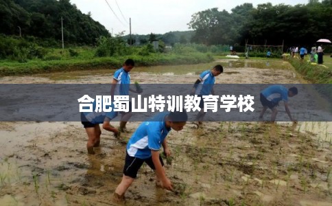 合肥蜀山特训教育学校