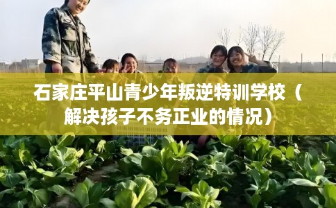 石家庄平山青少年叛逆特训学校（解决孩子不务正业的情况）