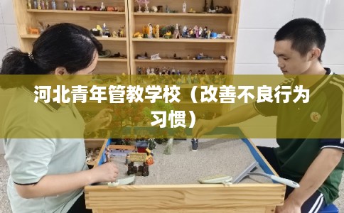 河北青年管教学校（改善不良行为习惯）
