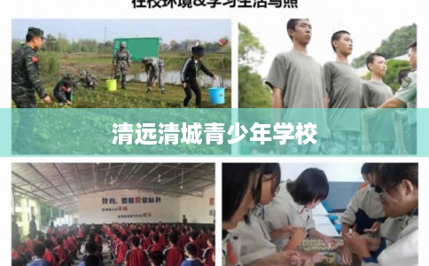 清远清城青少年学校 清远清城青少年学校