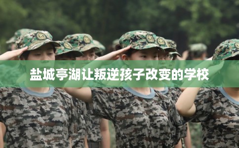 盐城亭湖让叛逆孩子改变的学校