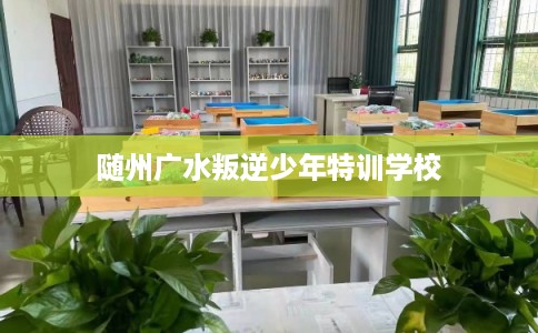 随州广水叛逆少年特训学校 随州广水叛逆少年特训学校