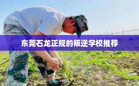东莞石龙正规的叛逆学校推荐