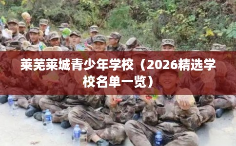 莱芜莱城青少年学校（2026精选学校名单一览）
