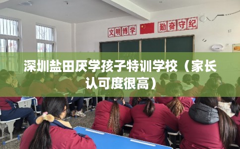 深圳盐田厌学孩子特训学校（家长认可度很高）