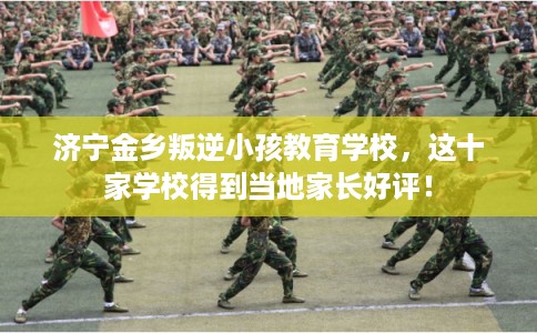 济宁金乡叛逆小孩教育学校,这十家学校得到当地家长好评! 济宁金乡叛逆小孩教育学校,这十家学校得到当地家长好评!
