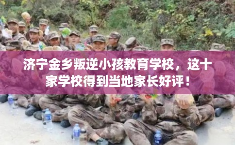 济宁金乡叛逆小孩教育学校，这十家学校得到当地家长好评！